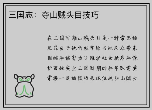 三国志：夺山贼头目技巧